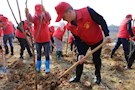 武陵区纪委：植树节拥抱春天，播种希望 
