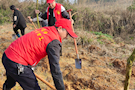 武陵区委巡察办参加植树节志愿活动