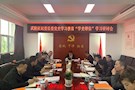 区委党史学习教育第三巡回指导组督导检查区纪委监委党史学习教育工作