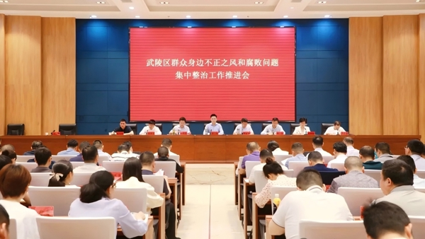 武陵区召开群众身边不正之风和腐败问题集中整治工作推进会