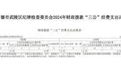 中共常德市武陵区纪律检查委员会2024年财政拨款“三公”经费支出决算表