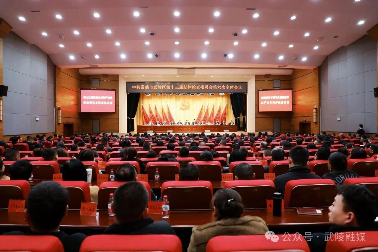 中共常德市武陵区第十三届纪律检查委员会第六次全体会议召开