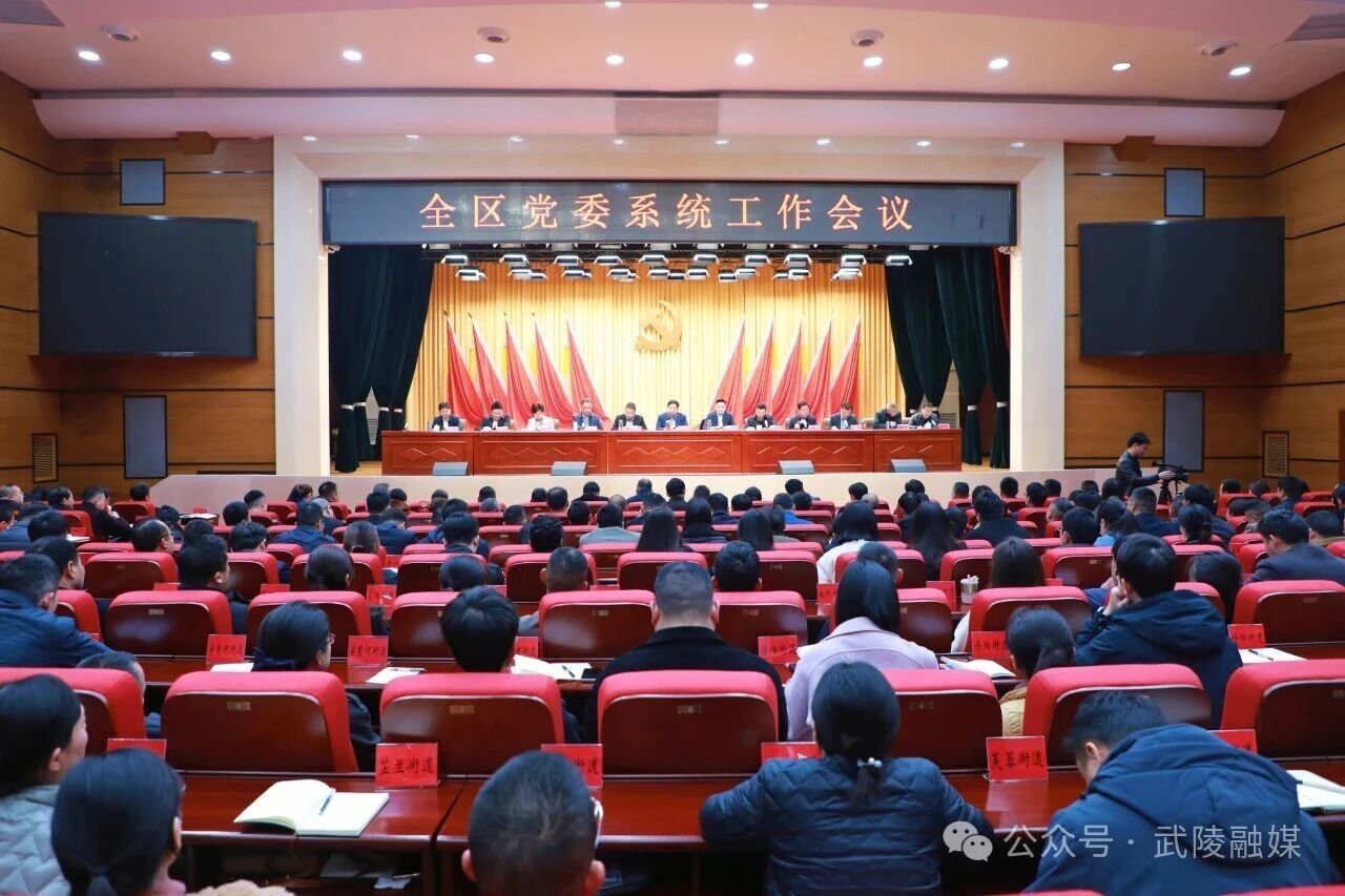 武陵区党委系统工作会议召开