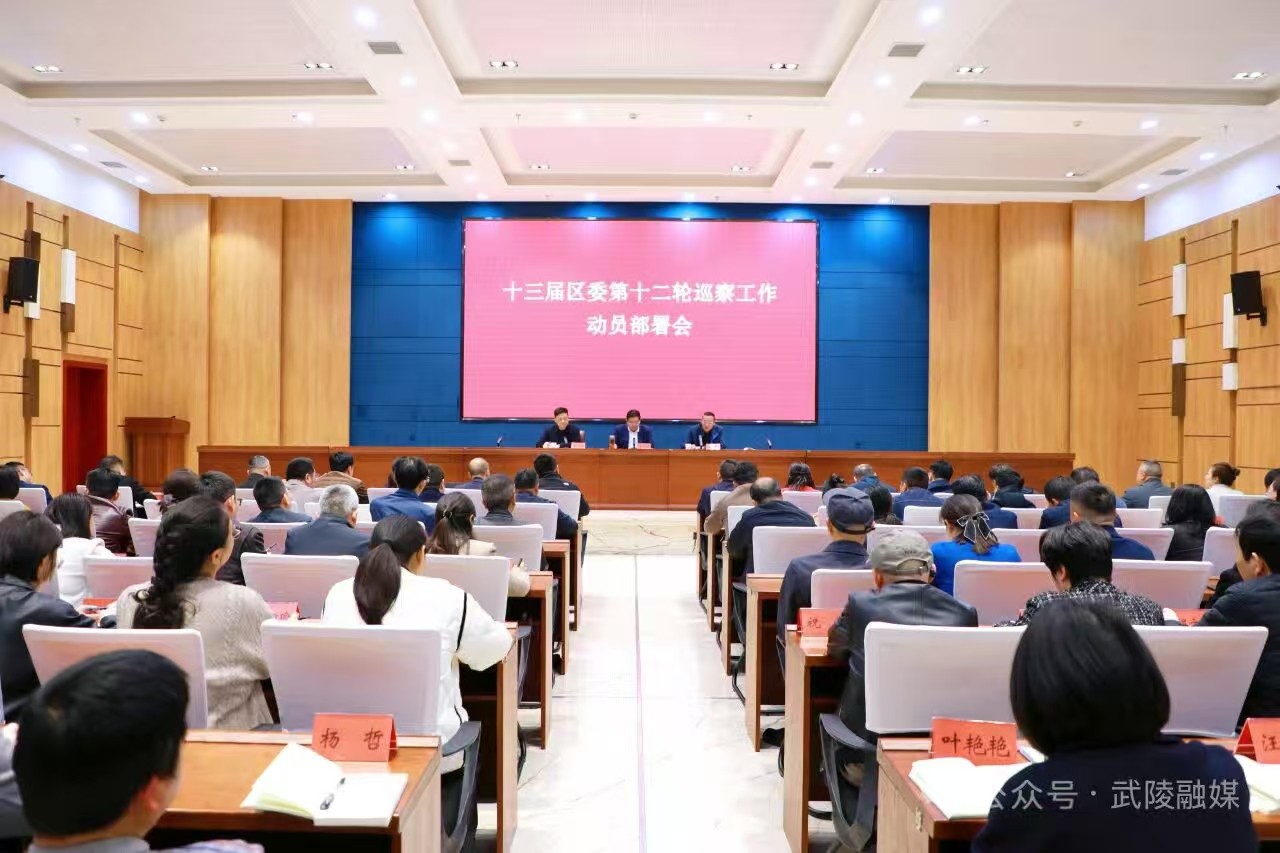 十三届区委第十二轮巡察工作动员部署会召开