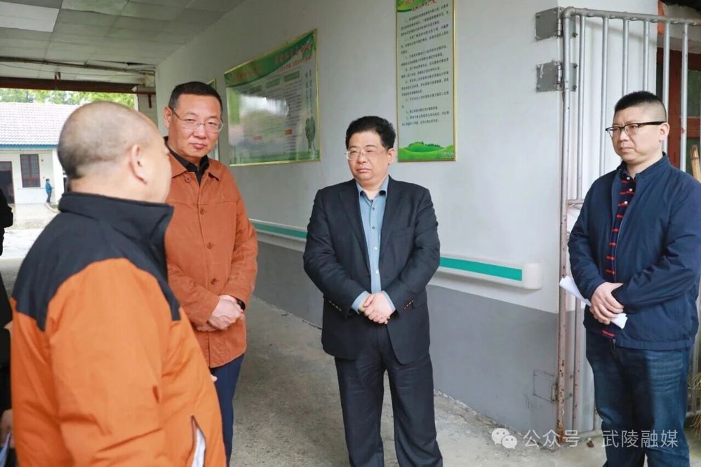 康少中调研督导学习教育、群众身边不正之风和腐败问题集中整治工作、市委巡察建议落实情况