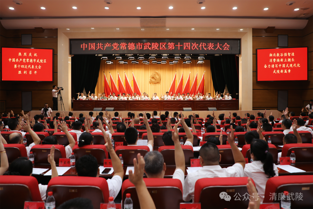中国共产党常德市武陵区第十四次代表大会举行第二次全体会议