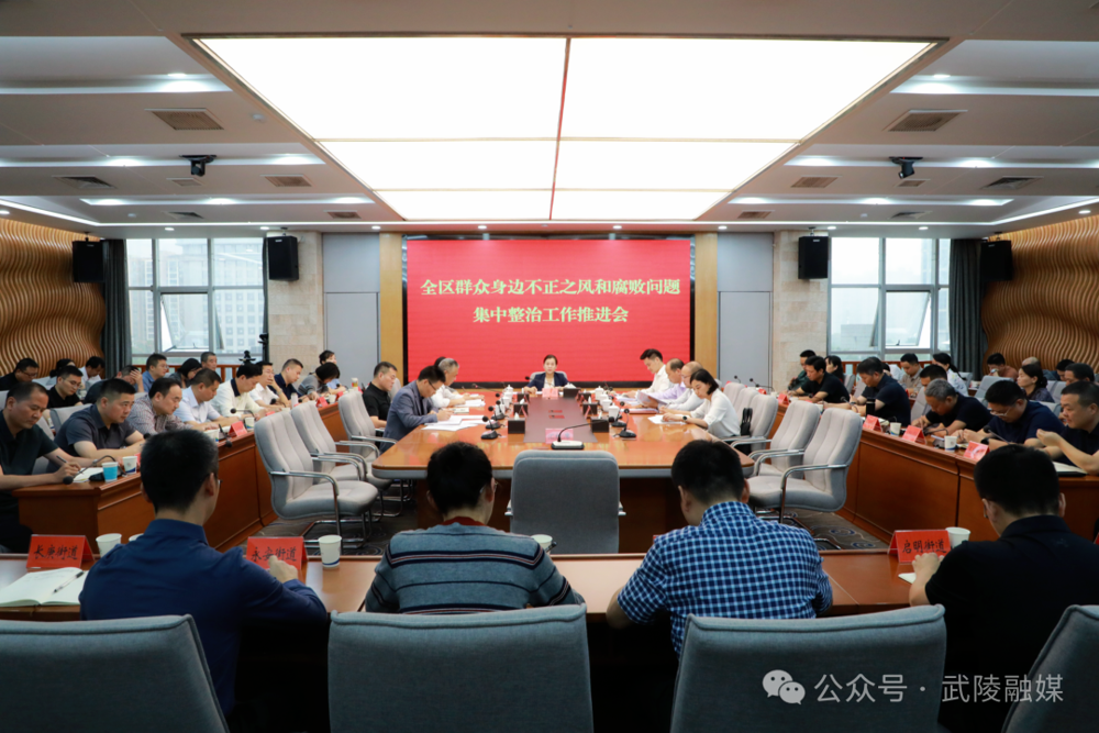全区群众身边不正之风和腐败问题集中整治工作推进会召开