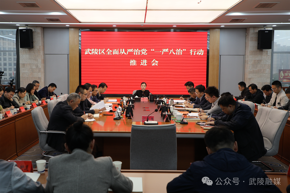 武陵区全面从严治党“一严八治”行动推进会召开