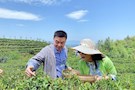 武陵区纪委监委开展：“爱在春天 乐在自然”文体活动